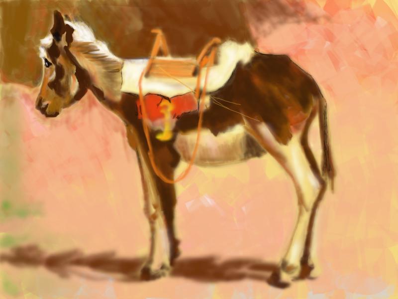 Click image for larger version. 

Name:	Ho  Ho   Ho    Donkey.jpg 
Views:	155 
Size:	67.9 KB 
ID:	74358