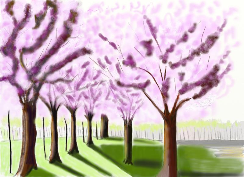 Click image for larger version. 

Name:	Silvy's    cherry trees.jpg 
Views:	163 
Size:	219.4 KB 
ID:	75764