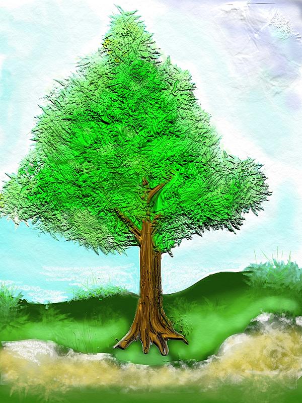 Click image for larger version. 

Name:	A.  Tree.jpg 
Views:	164 
Size:	366.1 KB 
ID:	72222