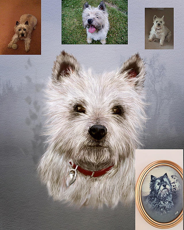 Click image for larger version. 

Name:	Westie dog.jpg 
Views:	133 
Size:	150.7 KB 
ID:	100697